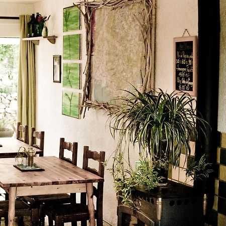 Gite De La Baume , Aux Delices Du Verdon Кастелан Екстериор снимка